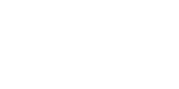 에이스 넷 logo